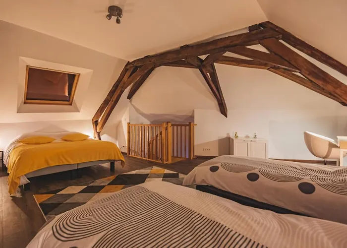 Le Logis Du Marquis Jacuzzi Billard